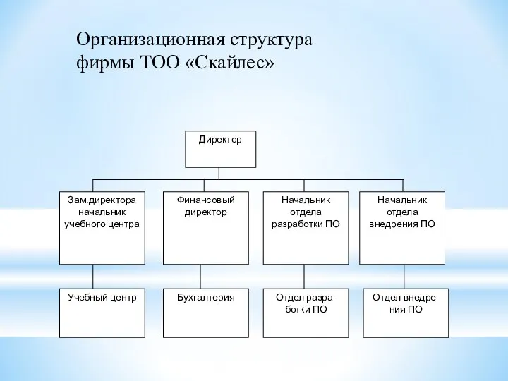 Организационная структура фирмы ТОО «Скайлес»