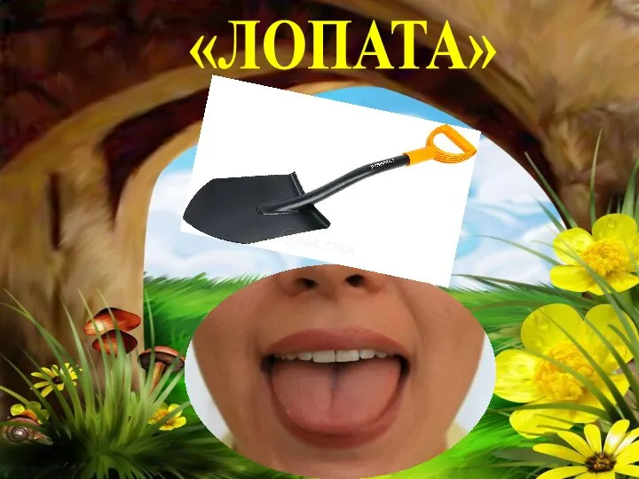 «ЛОПАТА»