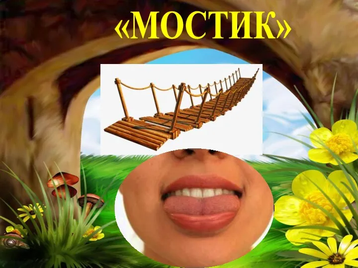 «МОСТИК»