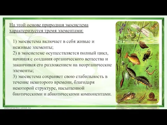 На этой основе природная экосистема характеризуется тремя элементами: 1) экосистема включает в