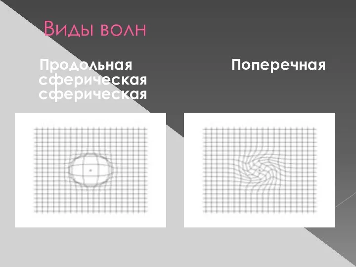 Виды волн Продольная Поперечная сферическая сферическая