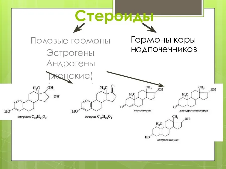 Стероиды Половые гормоны Эстрогены Андрогены (женские) (мужские) Гормоны коры надпочечников