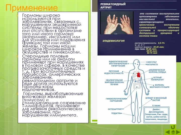 Гормоны широко используются при заболеваниях, связанных с нарушением эндокринной системы: при недостатке