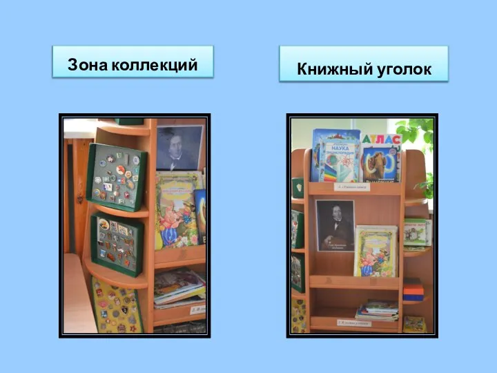 Зона коллекций Книжный уголок