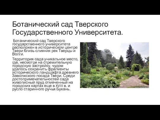 Ботанический сад Тверского Государственного Университета. Ботанический сад Тверского государственного университета расположен в