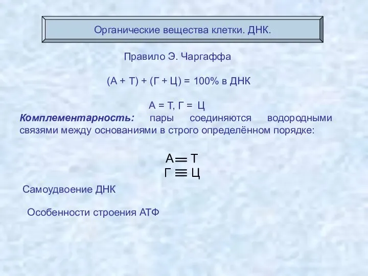 Органические вещества клетки. ДНК. Самоудвоение ДНК Правило Э. Чаргаффа (А + Т)