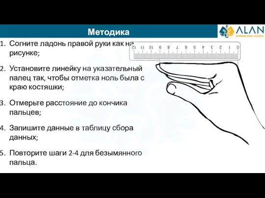 Методика Согните ладонь правой руки как на рисунке; Установите линейку на указательный