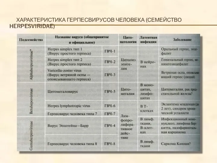 ХАРАКТЕРИСТИКА ГЕРПЕСВИРУСОВ ЧЕЛОВЕКА (СЕМЕЙСТВО HERPESVIRIDAE)