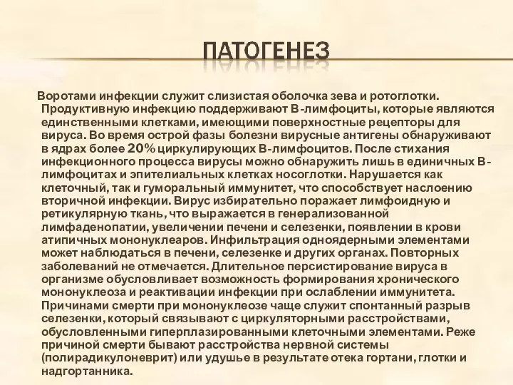 Воротами инфекции служит слизистая оболочка зева и ротоглотки. Продуктивную инфекцию поддерживают В-лимфоциты,