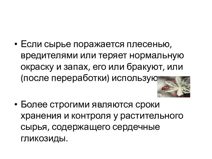 Если сырье поражается плесенью, вредителями или теряет нормальную окраску и запах, его