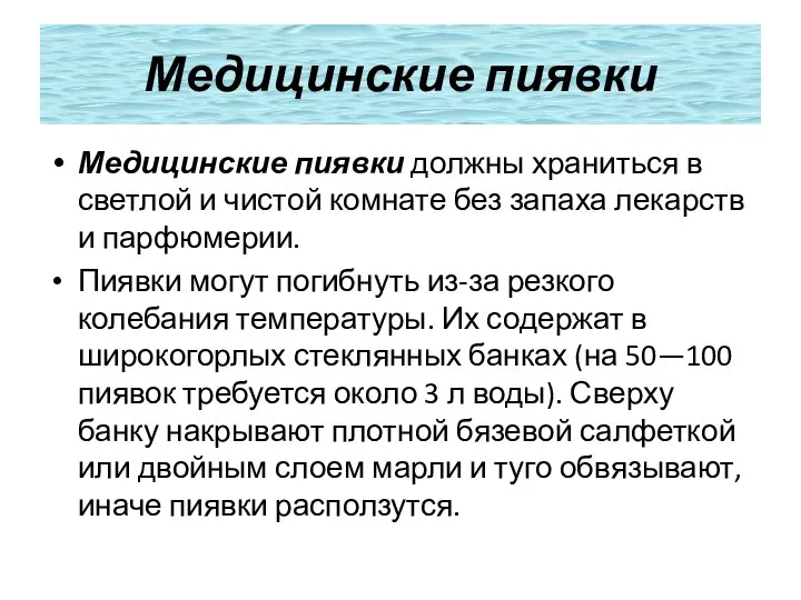 Медицинские пиявки Медицинские пиявки должны храниться в светлой и чистой комнате без