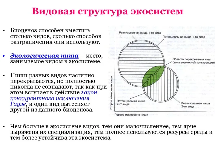 Видовая структура экосистем Биоценоз способен вместить столько видов, сколько способов разграничения они