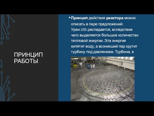 ПРИНЦИП РАБОТЫ Принцип действия реактора можно описать в паре предложений: Уран-235 распадается,