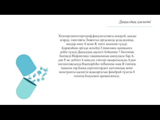 Дақылдық қасиеті Хемоорганогетеротроф,факультативты анаэроб, қанды агарда, элективты Левентал ортасында ұсақ,жалпақ,мөлдір емес S