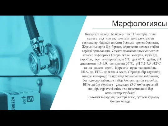 Марфологиясы Көкіріңге келесі белгілер тəн: Грамтеріс, тіке немесе сəл иілген, шеттері дөңгелектенген