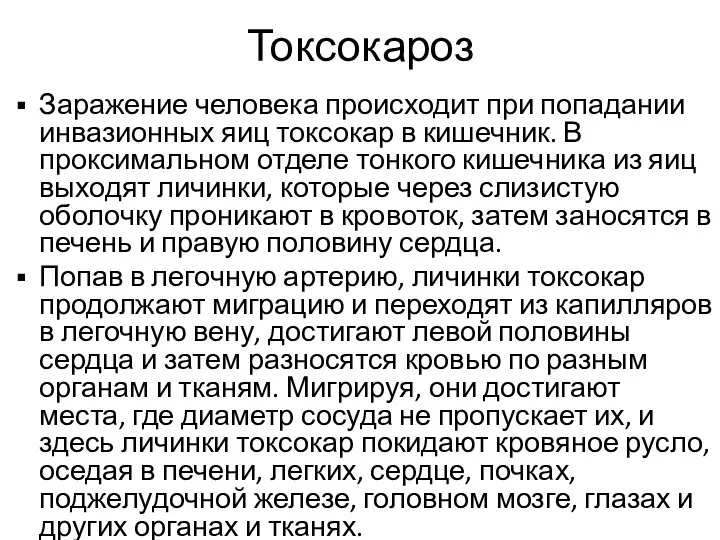 Токсокароз Заражение человека происходит при попадании инвазионных яиц токсокар в кишечник. В