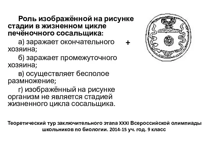 Роль изображённой на рисунке стадии в жизненном цикле печёночного сосальщика: а) заражает