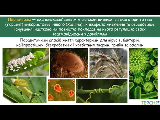 Паразитизм — вид взаємозв'язків між різними видами, за якого один з них