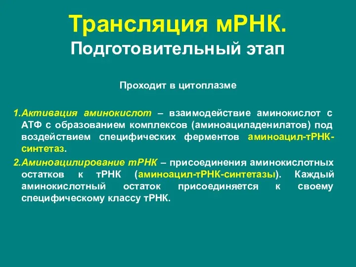 Проходит в цитоплазме Активация аминокислот – взаимодействие аминокислот с АТФ с образованием