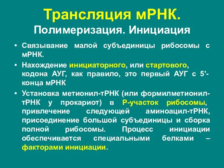 Связывание малой субъединицы рибосомы с мРНК. Нахождение инициаторного, или стартового, кодона АУГ,