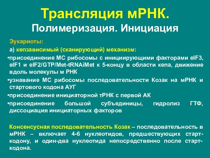 Эукариоты: а) кепзависимый (сканирующий) механизм: присоединение МС рибосомы с инициирующими факторами eIF3,