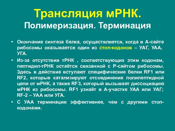 Трансляция мРНК. Полимеризация. Терминация Окончание синтеза белка, осуществляется, когда в А-сайте рибосомы