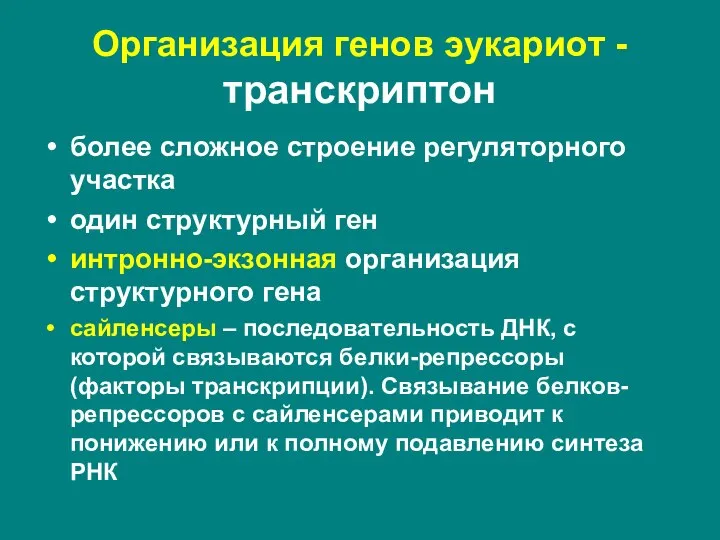 более сложное строение регуляторного участка один структурный ген интронно-экзонная организация структурного гена