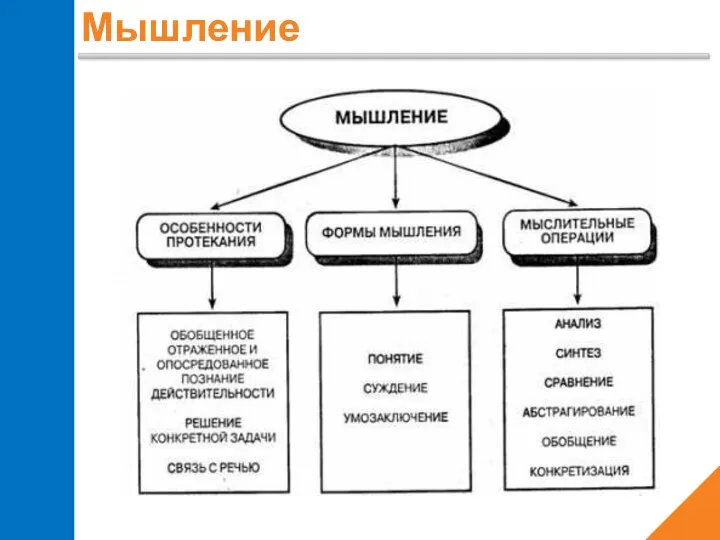 Мышление