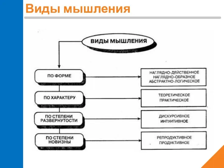 Виды мышления