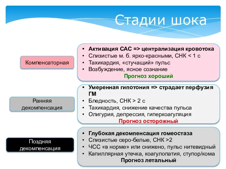 Стадии шока Компенсаторная Активация САС => централизация кровотока Слизистые м. б. ярко-красными,