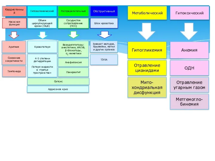 Гипогликемия Метаболический Отравление цианидами Анемия Гипоксический ОДН Отравление угарным газом Метгемогло-бинемия Мито-хондриальная дисфункция