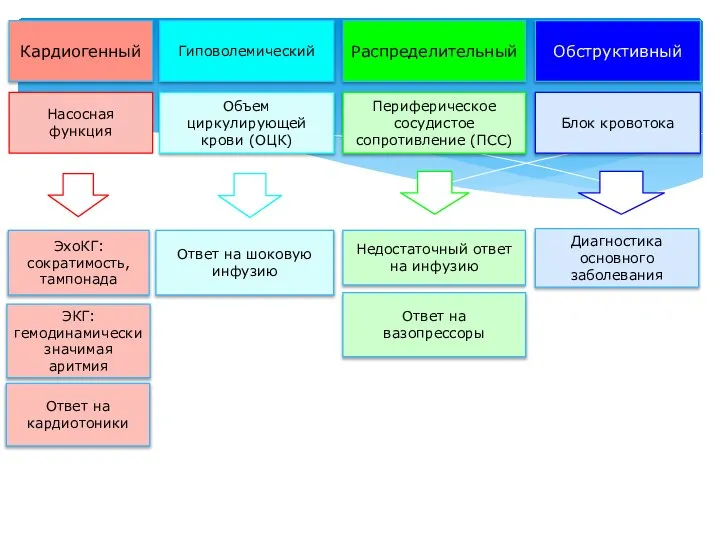 Кардиогенный Гиповолемический Распределительный Насосная функция Объем циркулирующей крови (ОЦК) Диагностика основного заболевания