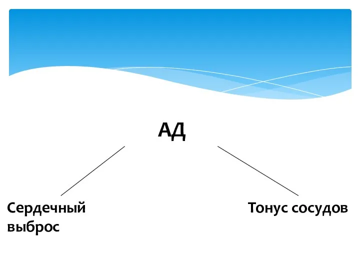 АД Сердечный выброс Тонус сосудов