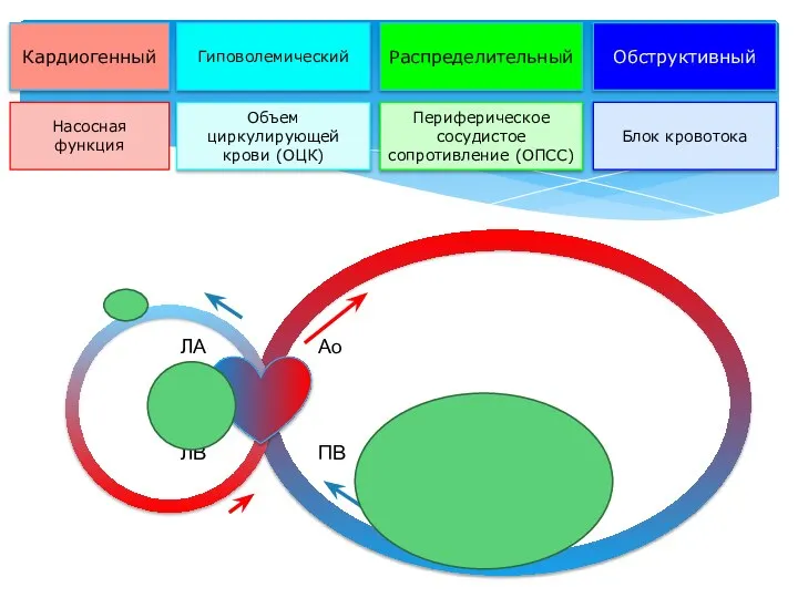Кардиогенный Гиповолемический Распределительный Насосная функция Объем циркулирующей крови (ОЦК) Обструктивный Ао ПВ