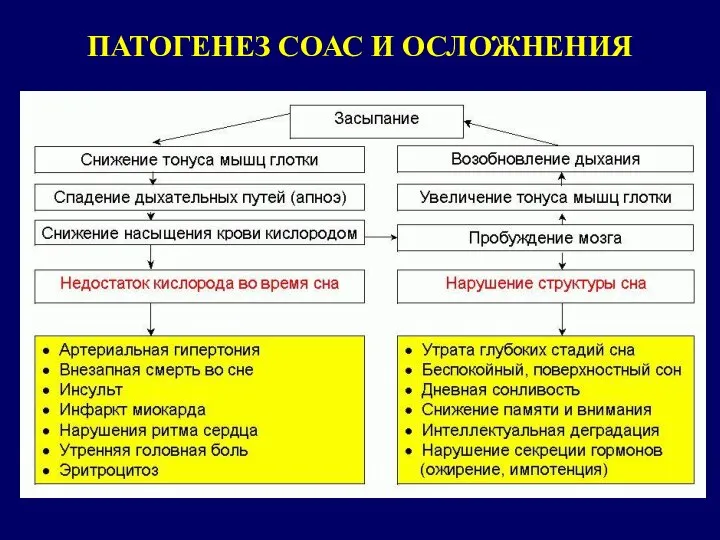 ПАТОГЕНЕЗ СОАС И ОСЛОЖНЕНИЯ