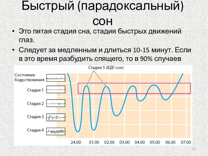 Быстрый (парадоксальный) сон Это пятая стадия сна, стадия быстрых движений глаз. Следует