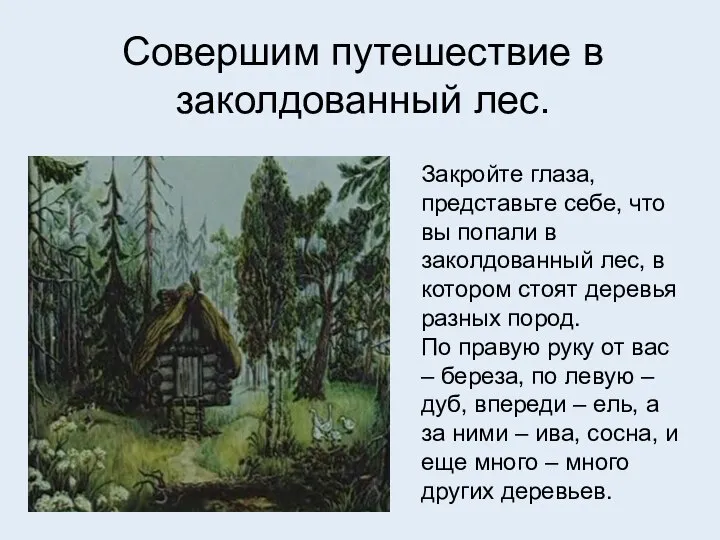 Совершим путешествие в заколдованный лес. Закройте глаза, представьте себе, что вы попали