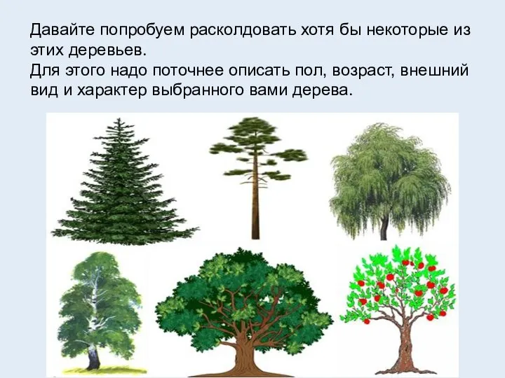 Давайте попробуем расколдовать хотя бы некоторые из этих деревьев. Для этого надо