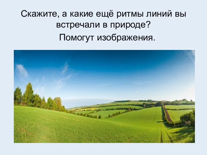 Скажите, а какие ещё ритмы линий вы встречали в природе? Помогут изображения.