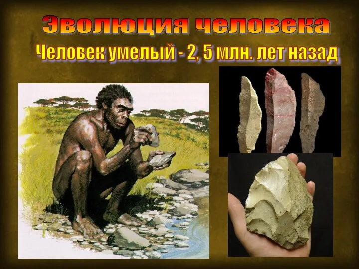 Человек умелый - 2, 5 млн. лет назад Эволюция человека