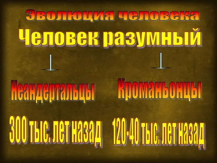 Человек разумный Эволюция человека Неандертальцы Кроманьонцы 120-40 тыс. лет назад 300 тыс. лет назад