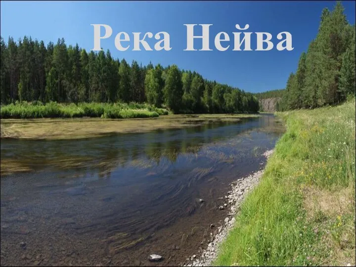 Река Нейва