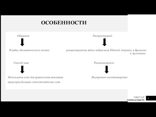 Обитает Распространён В водах Атлантического океана распространены вдоль побережья Южной Америки, в