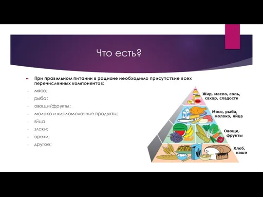 Что есть? При правильном питании в рационе необходимо присутствие всех перечисленных компонентов: