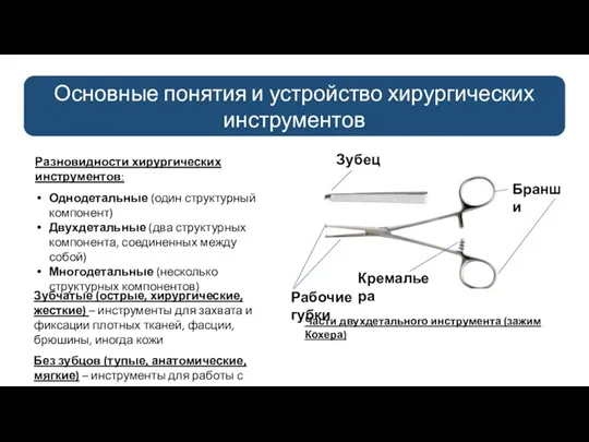 Основные понятия и устройство хирургических инструментов Разновидности хирургических инструментов: Однодетальные (один структурный