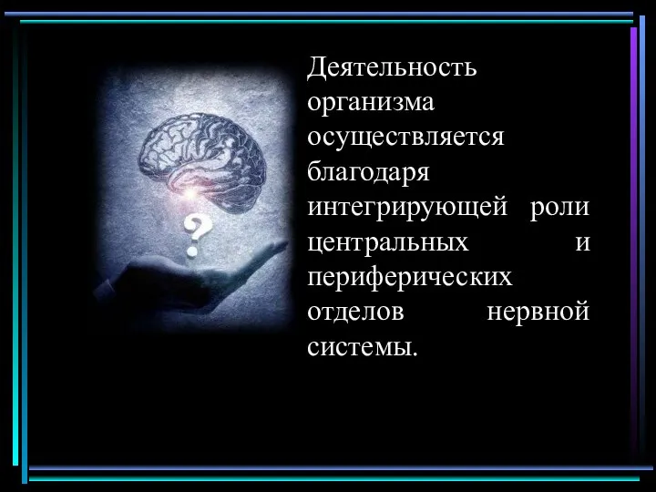 Деятельность организма осуществляется благодаря интегрирующей роли центральных и периферических отделов нервной системы.