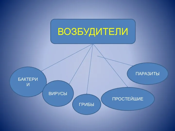 ВОЗБУДИТЕЛИ БАКТЕРИИ ВИРУСЫ ГРИБЫ ПРОСТЕЙШИЕ ПАРАЗИТЫ