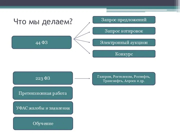 Что мы делаем? 44 ФЗ 223 ФЗ Претензионная работа УФАС жалобы и