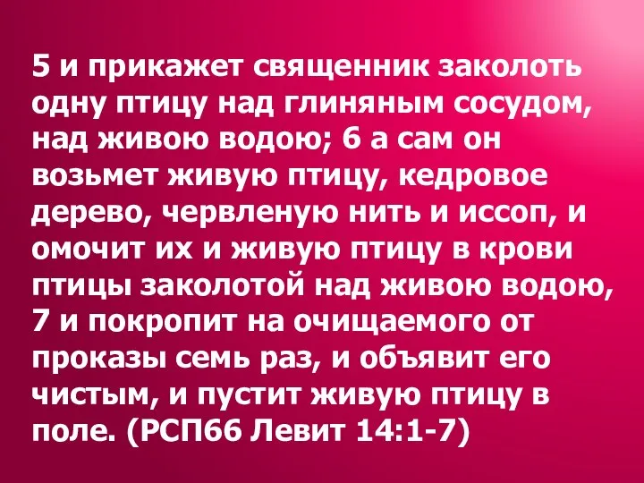 5 и прикажет священник заколоть одну птицу над глиняным сосудом, над живою