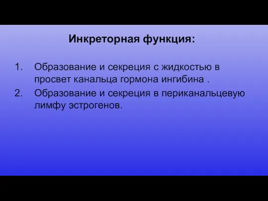 Инкреторная функция: Образование и секреция с жидкостью в просвет канальца гормона ингибина